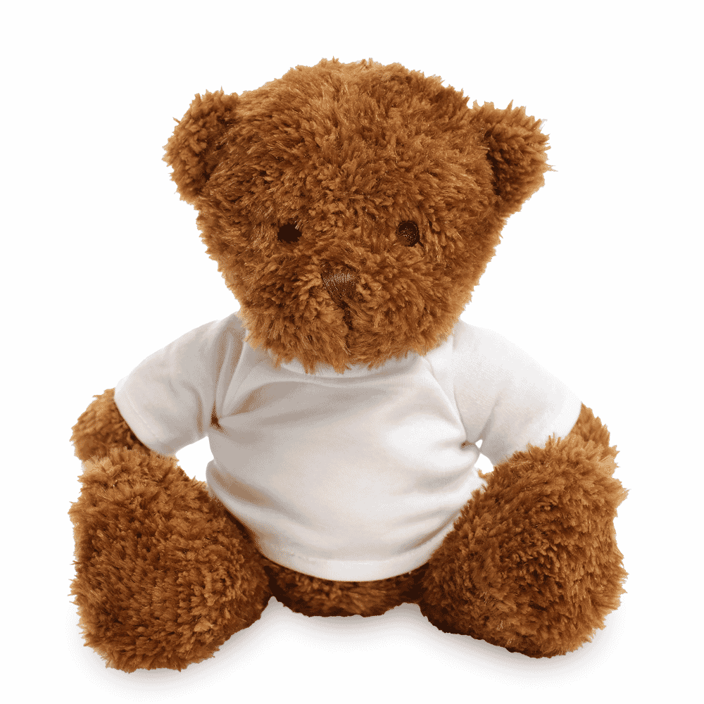 Promotional James I Dark Brown Bear - Blank Soft Toys - Medium Teddy Bear
