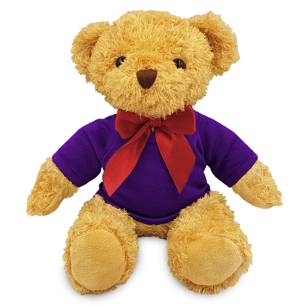 Blank 18cm William Bear with Purple t-shirt