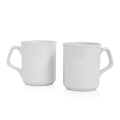 Blank Sparta Mug
