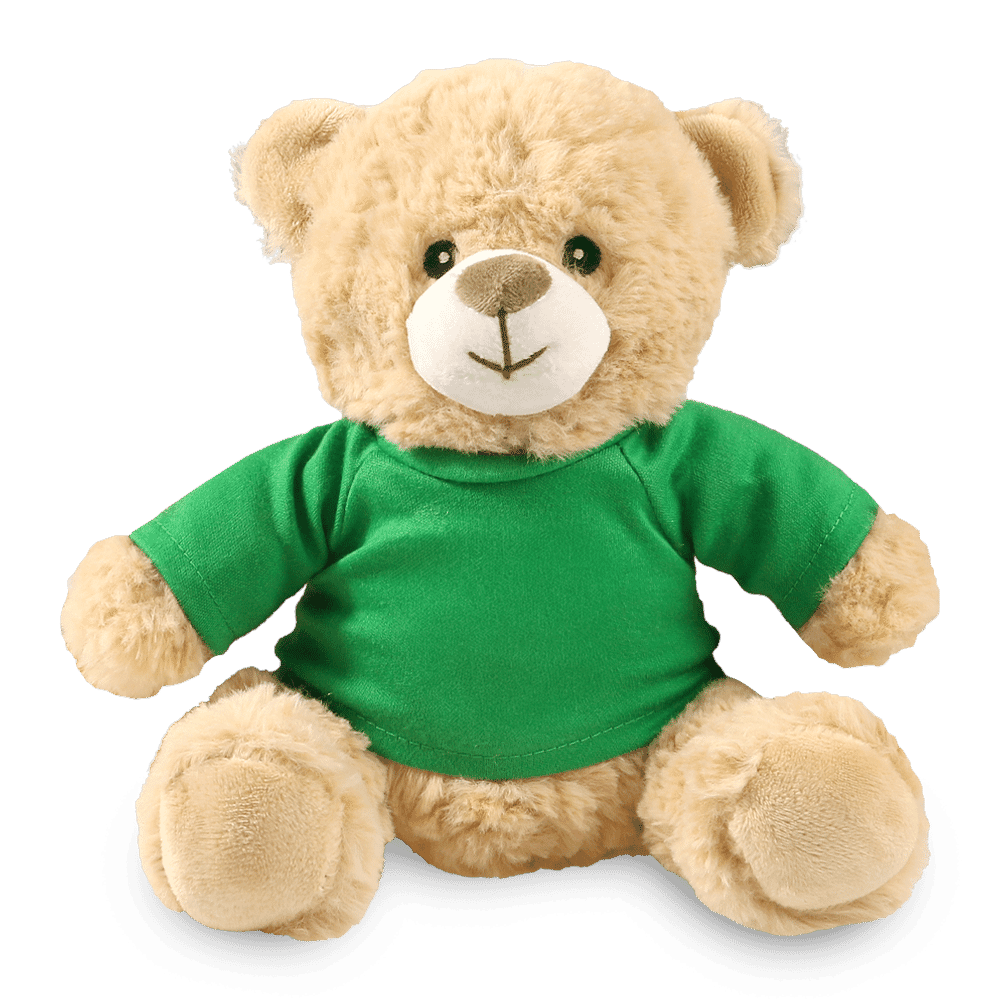 Coloured T-Shirt Bears